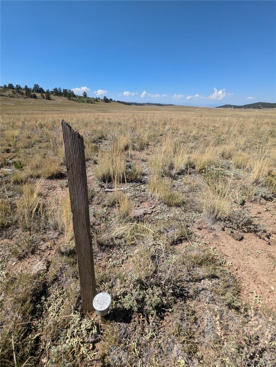 527 Cochiti Road Hartsel, CO 80449 - Photo 12 of 17