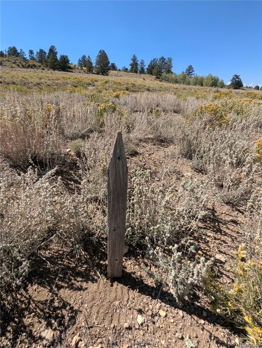 527 Cochiti Road Hartsel, CO 80449 - Photo 13 of 17