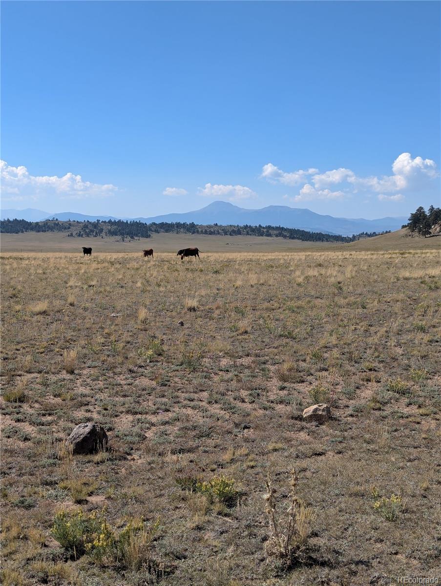 527 Cochiti Road Hartsel, CO 80449 - Photo 15 of 17