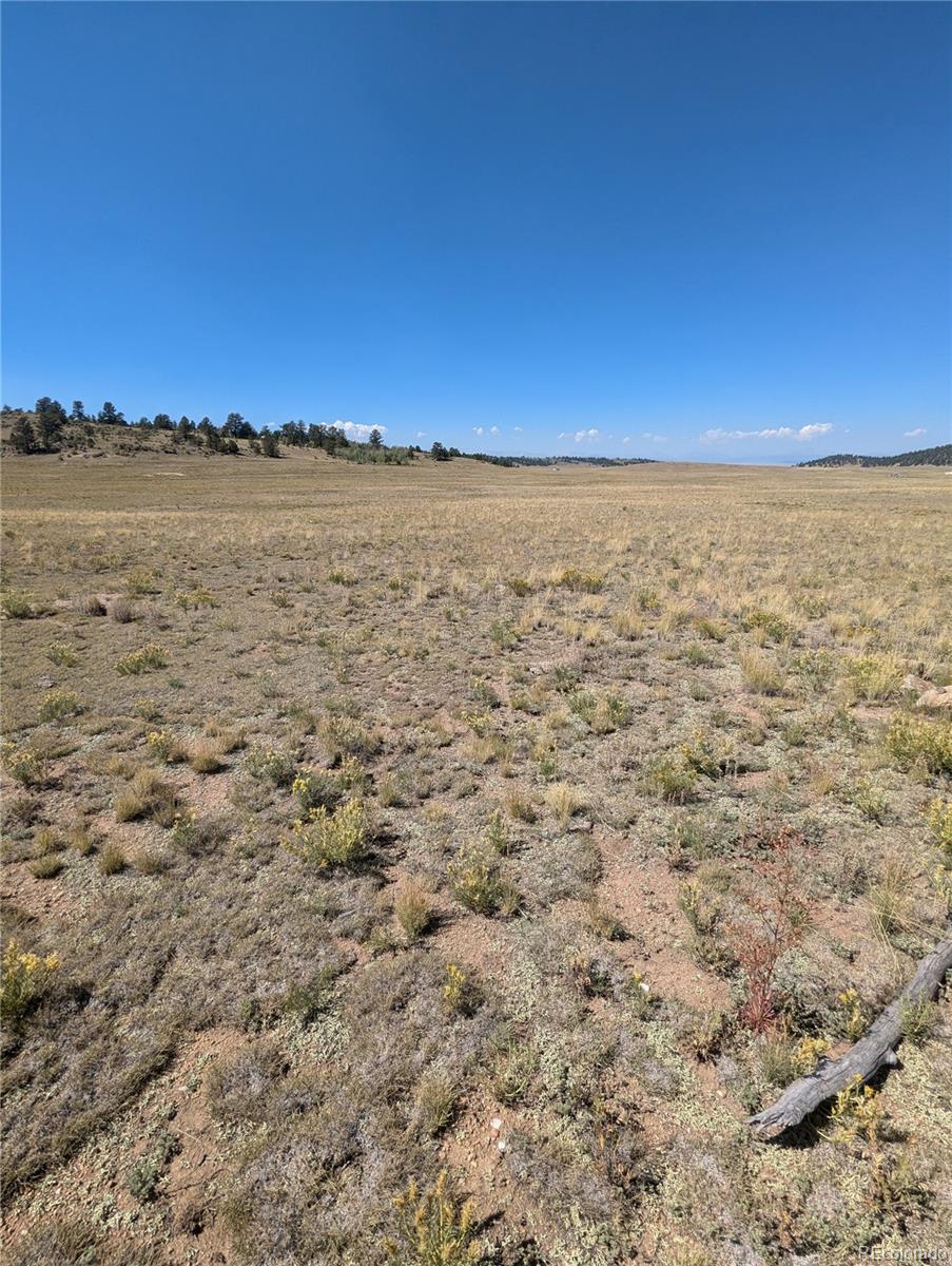 527 Cochiti Road Hartsel, CO 80449 - Photo 2 of 17