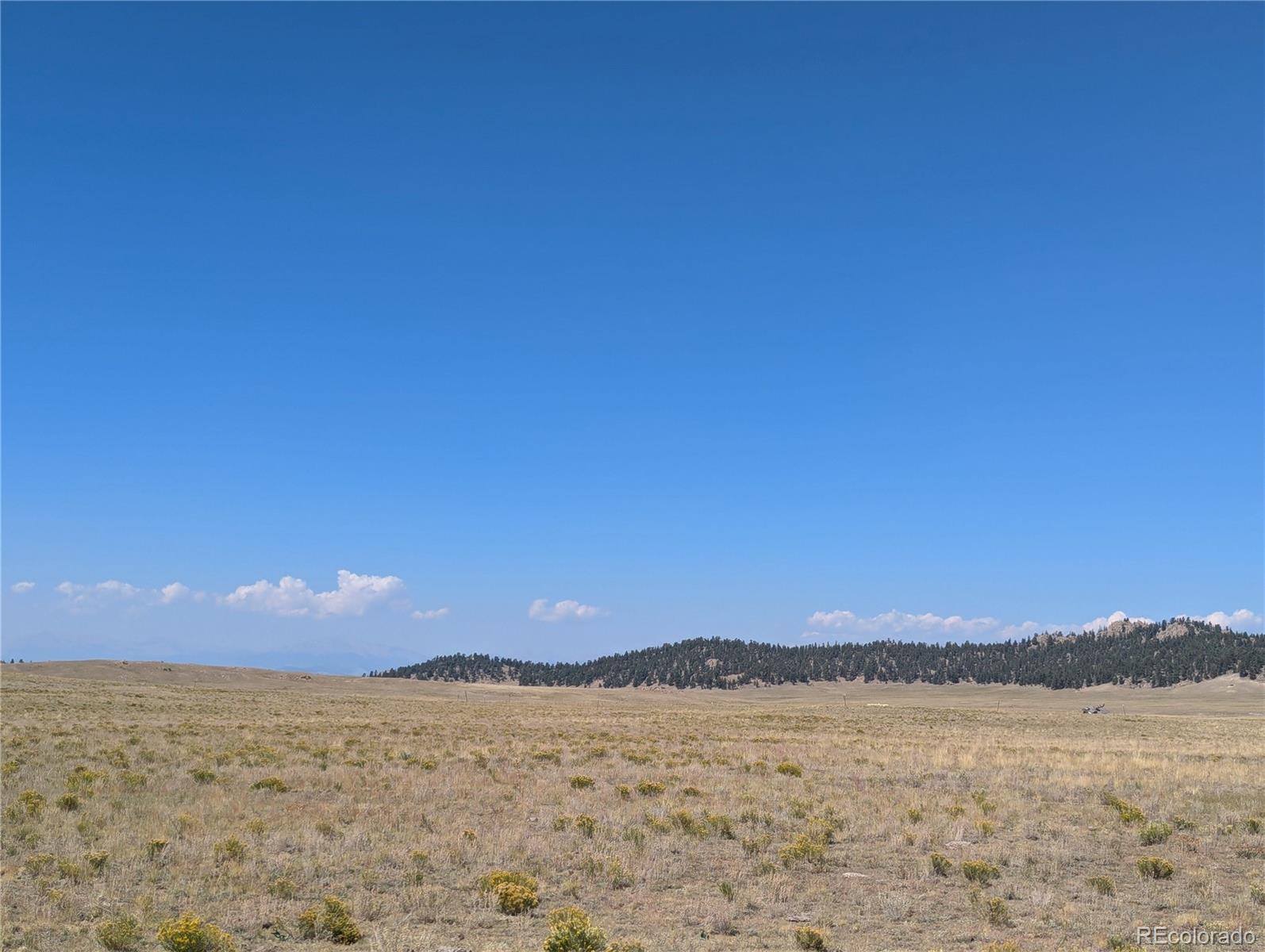 527 Cochiti Road Hartsel, CO 80449 - Photo 3 of 17