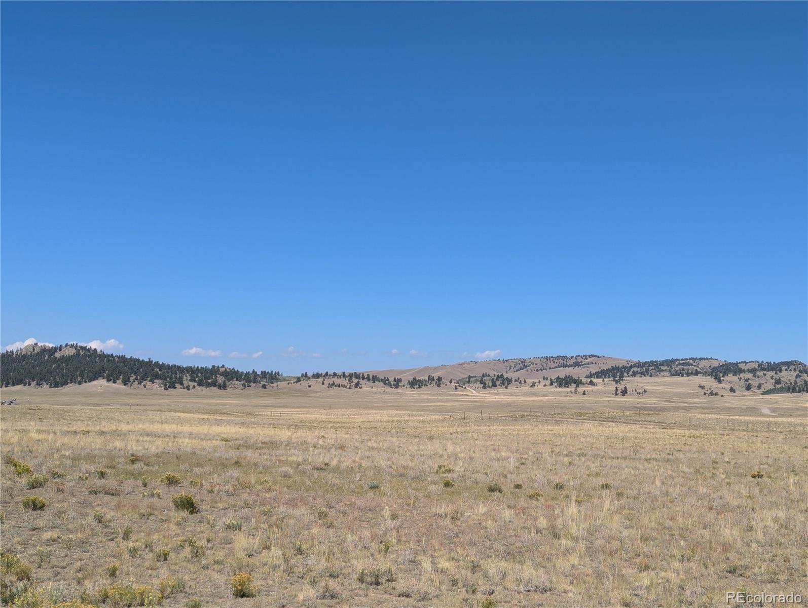 527 Cochiti Road Hartsel, CO 80449 - Photo 4 of 17