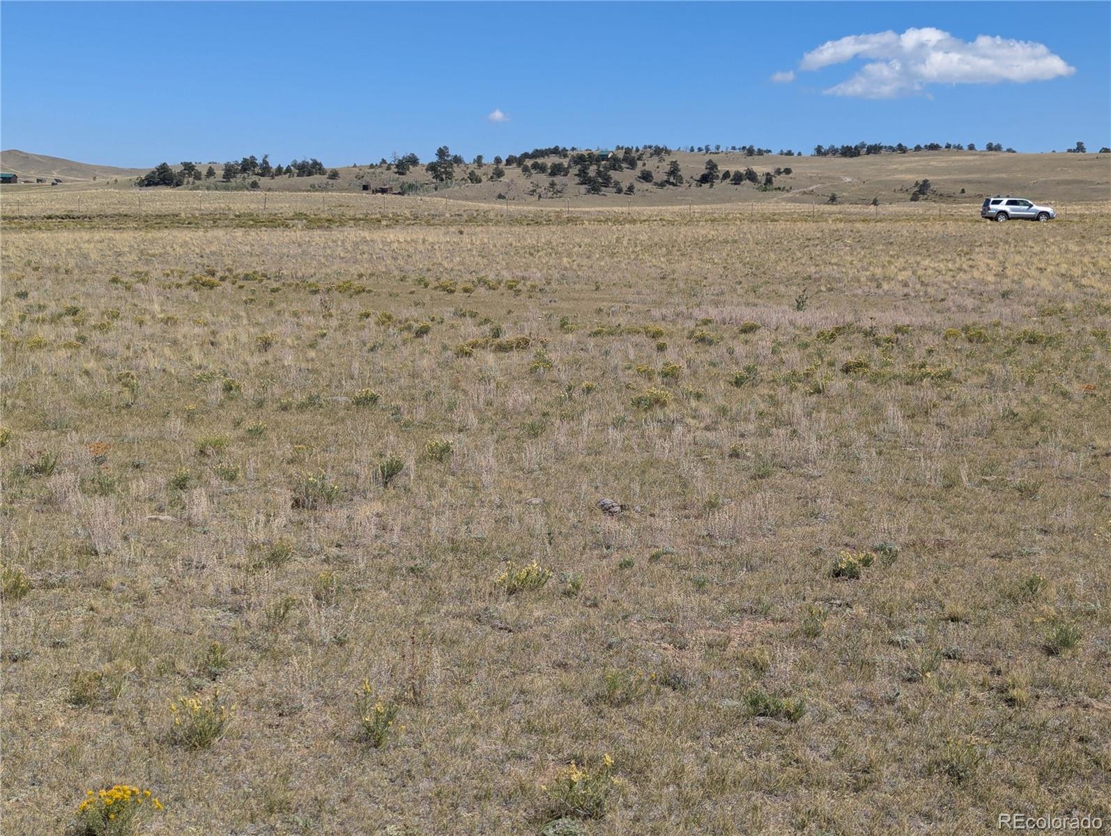 527 Cochiti Road Hartsel, CO 80449 - Photo 6 of 17