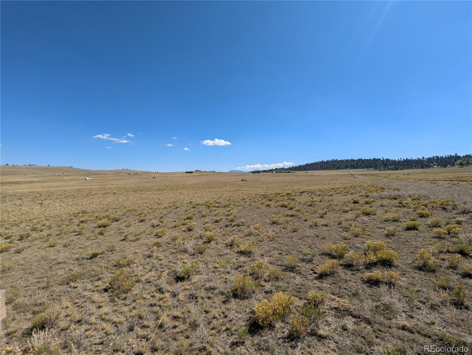 527 Cochiti Road Hartsel, CO 80449 - Photo 7 of 17