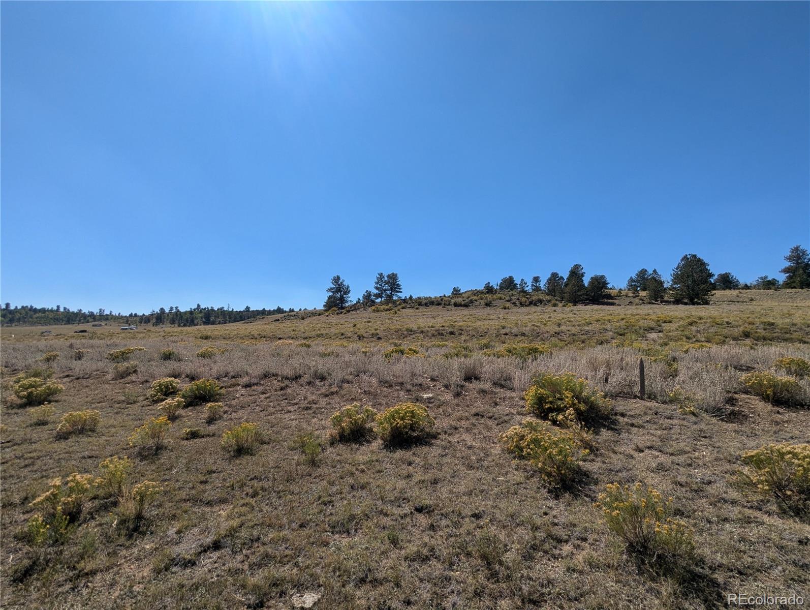 527 Cochiti Road Hartsel, CO 80449 - Photo 8 of 17