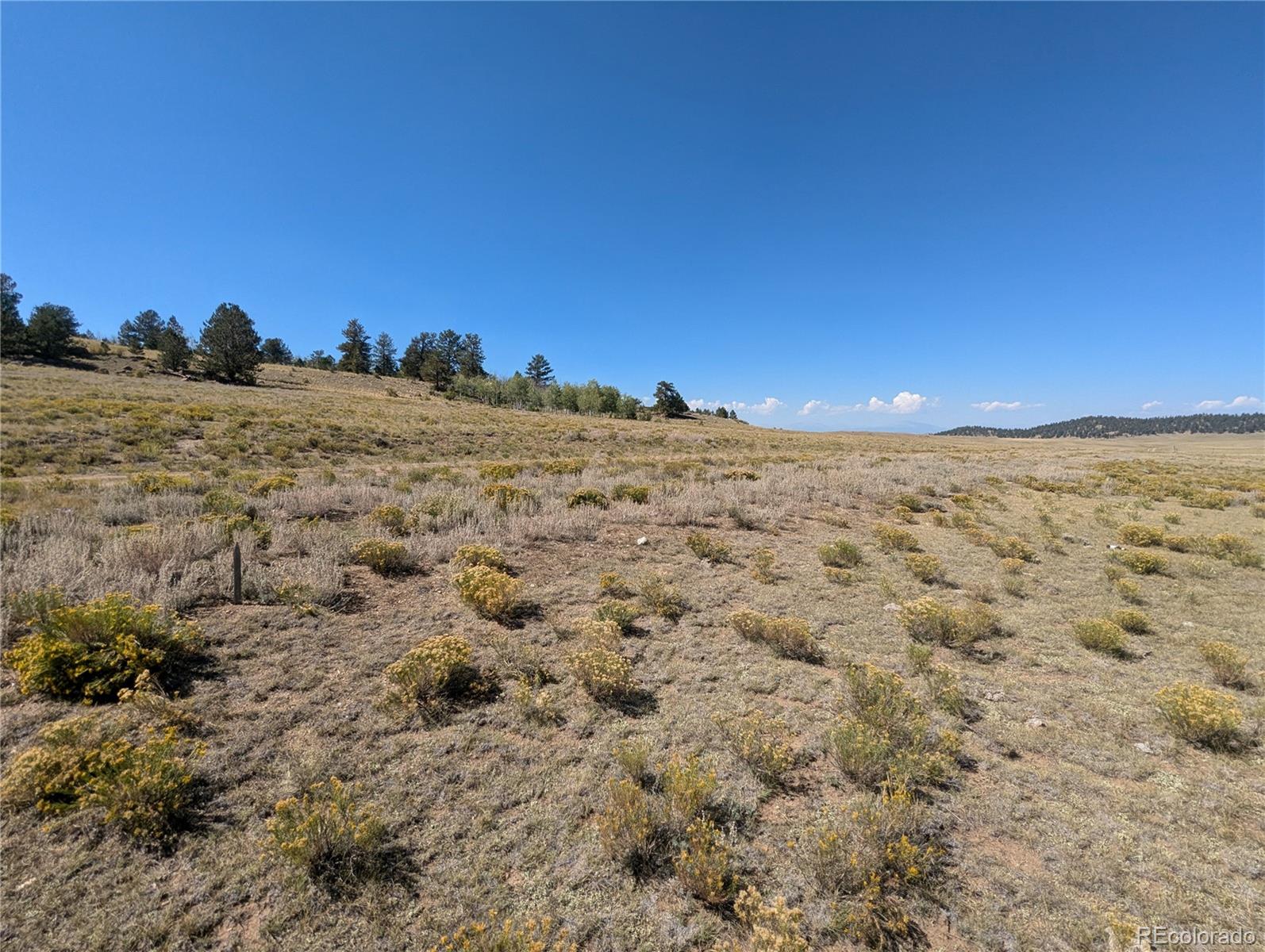 527 Cochiti Road Hartsel, CO 80449 - Photo 9 of 17