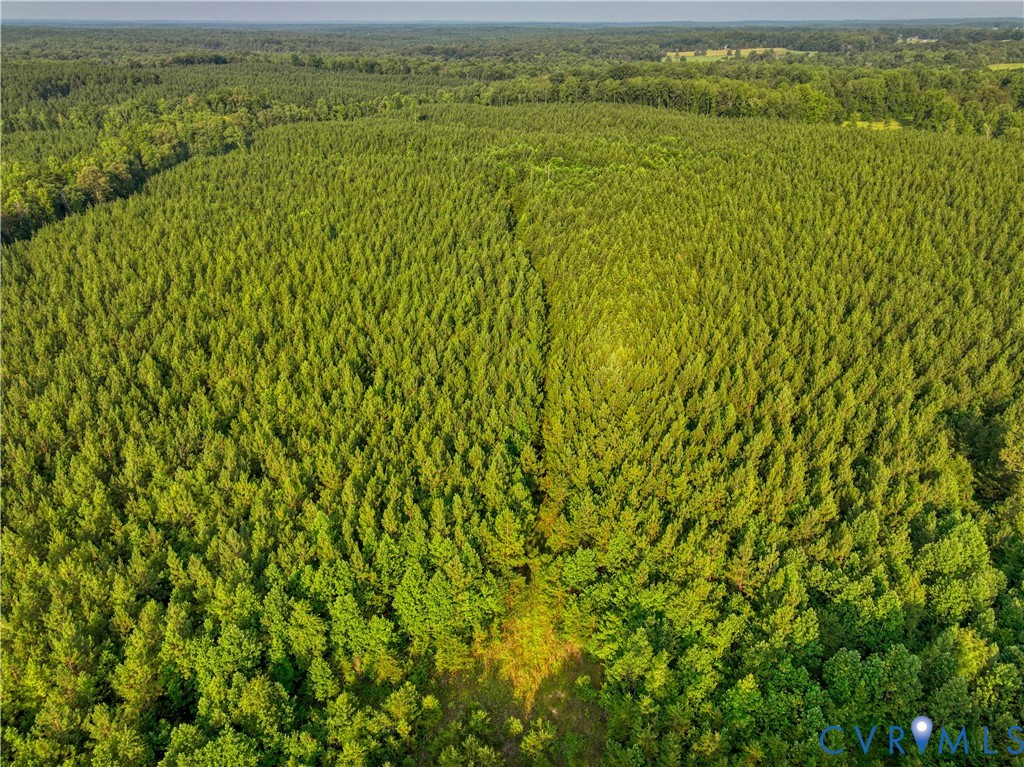 0 Tabscott Road Kents Store, VA 23084 - Photo 11 of 26 Expansive acreage featuring dense, mature tree cov