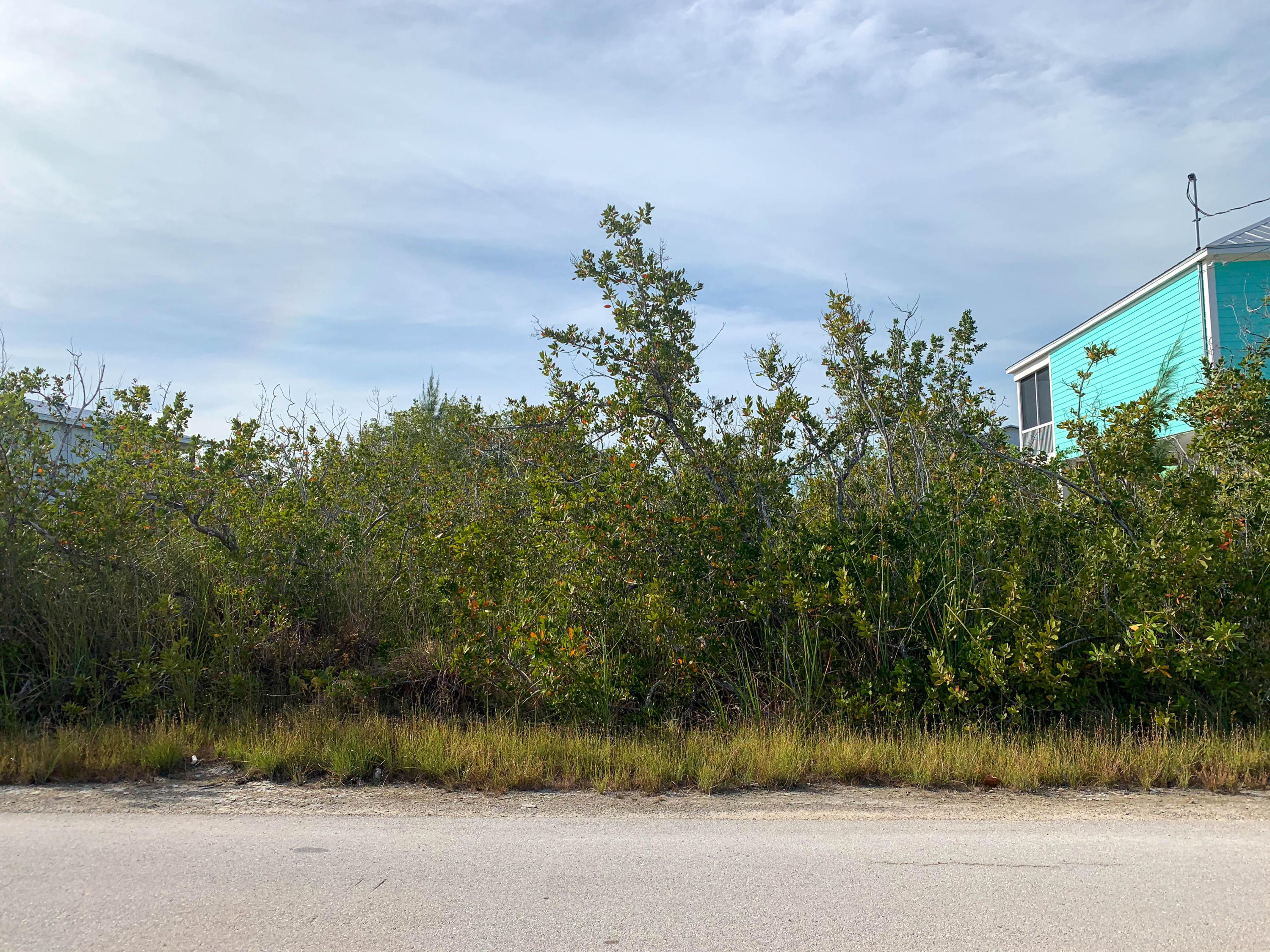 27 Mariposa Road Summerland Key, FL 33042 - Photo 11 of 13 Front of Lot