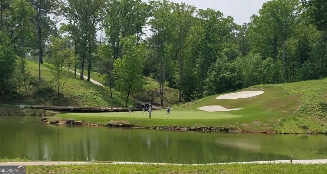 0 Switchback Run Toccoa, GA 30577 - Photo 8 of 8 a view of a lake with a yard