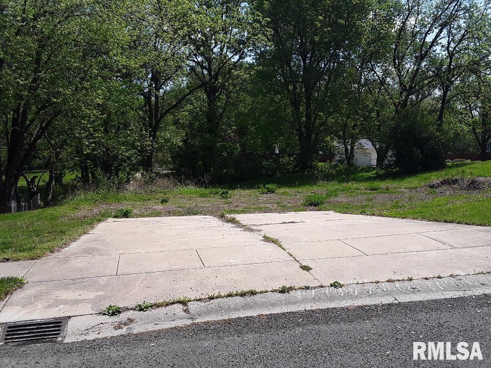 3 Dean Park Road Dawson, IL 62520 - Photo 4 of 4