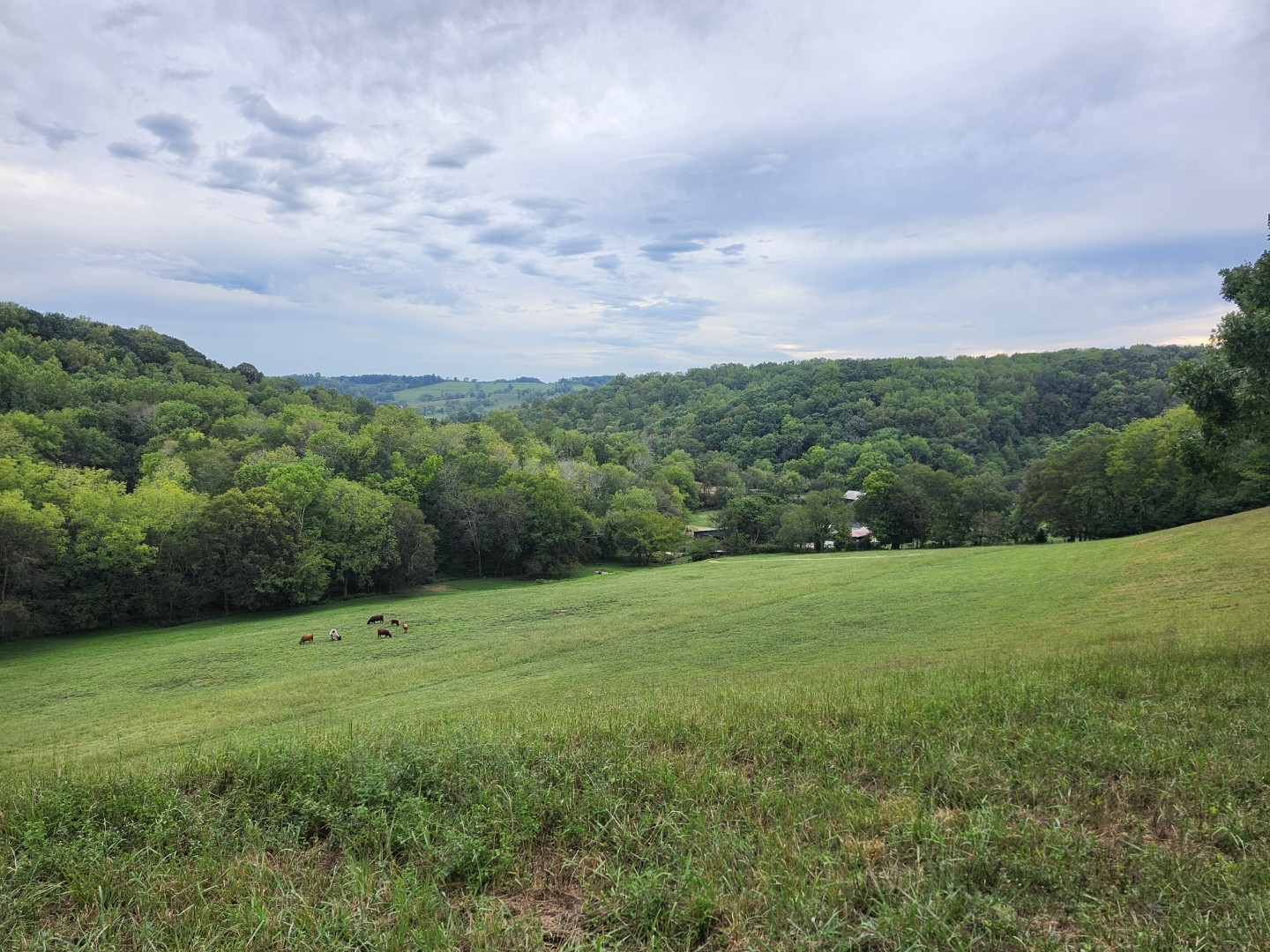 994 Bull Run Road Lynchburg, TN 37352 - Photo 34 of 41 Gallery Image 34