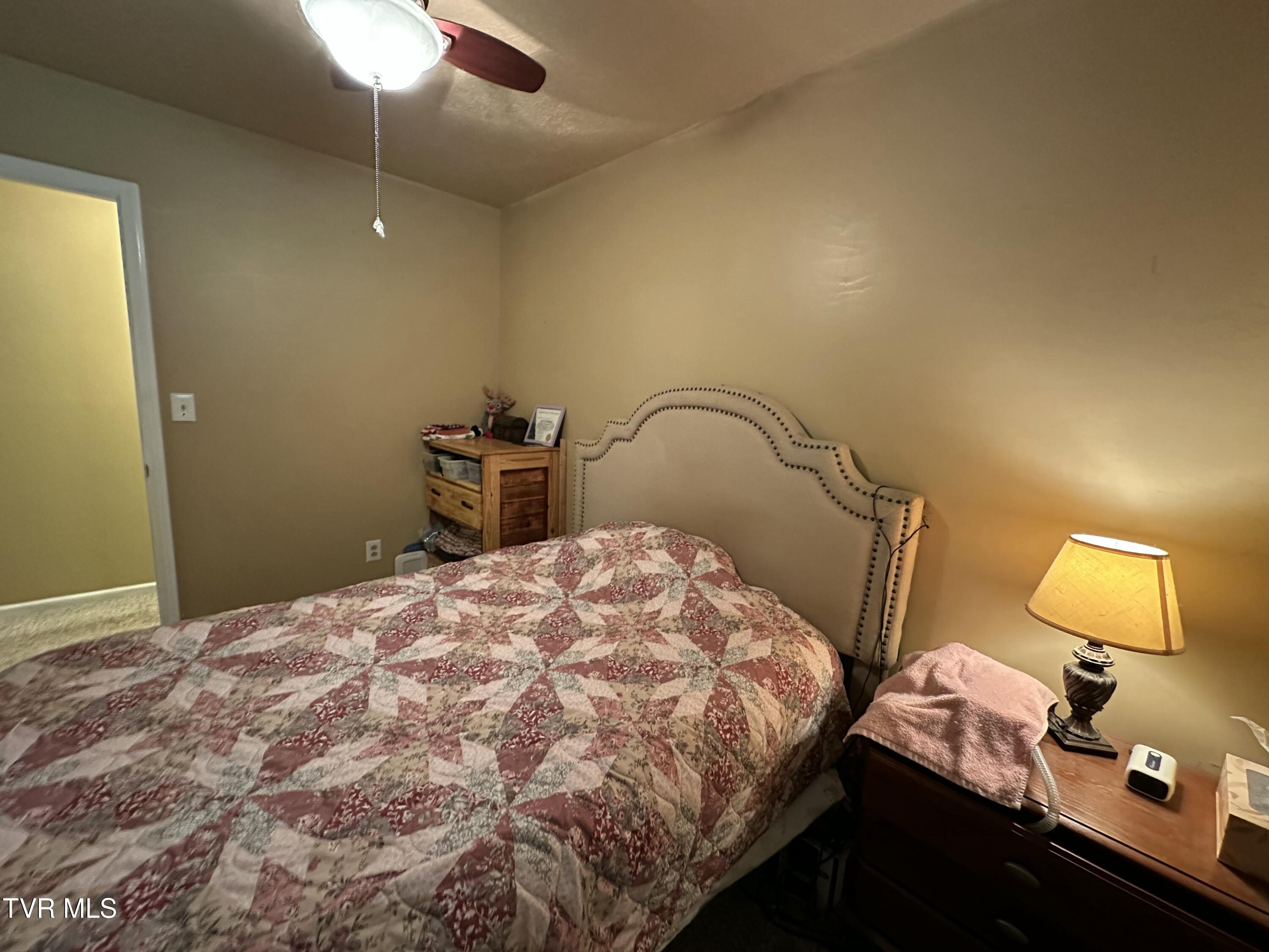 550 Escape Mountain Road Hampton, TN 37658 - Photo 28 of 71 IMG_7565