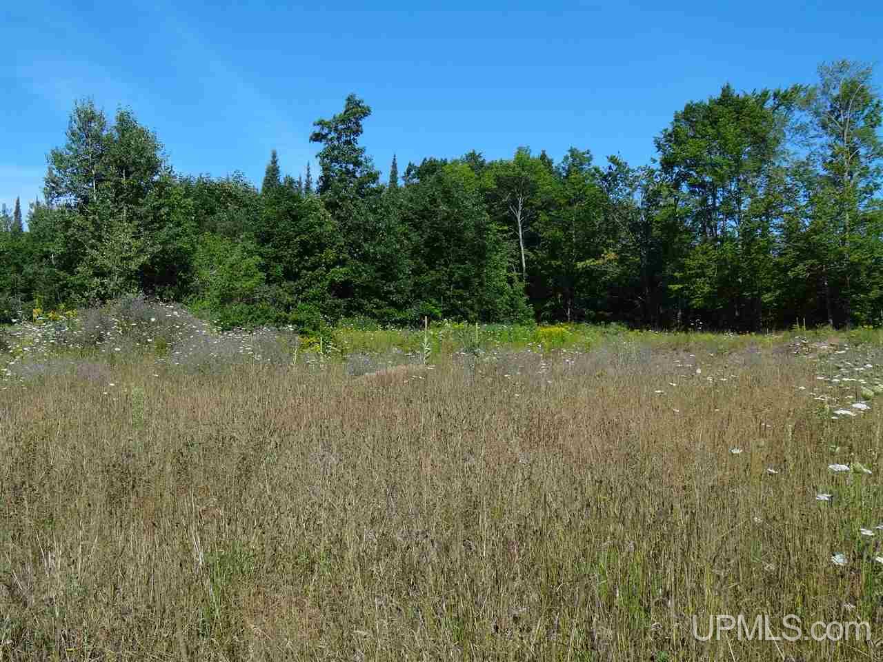 Tbd Post Office Road Mass City, MI 49948 - Photo 9 of 19