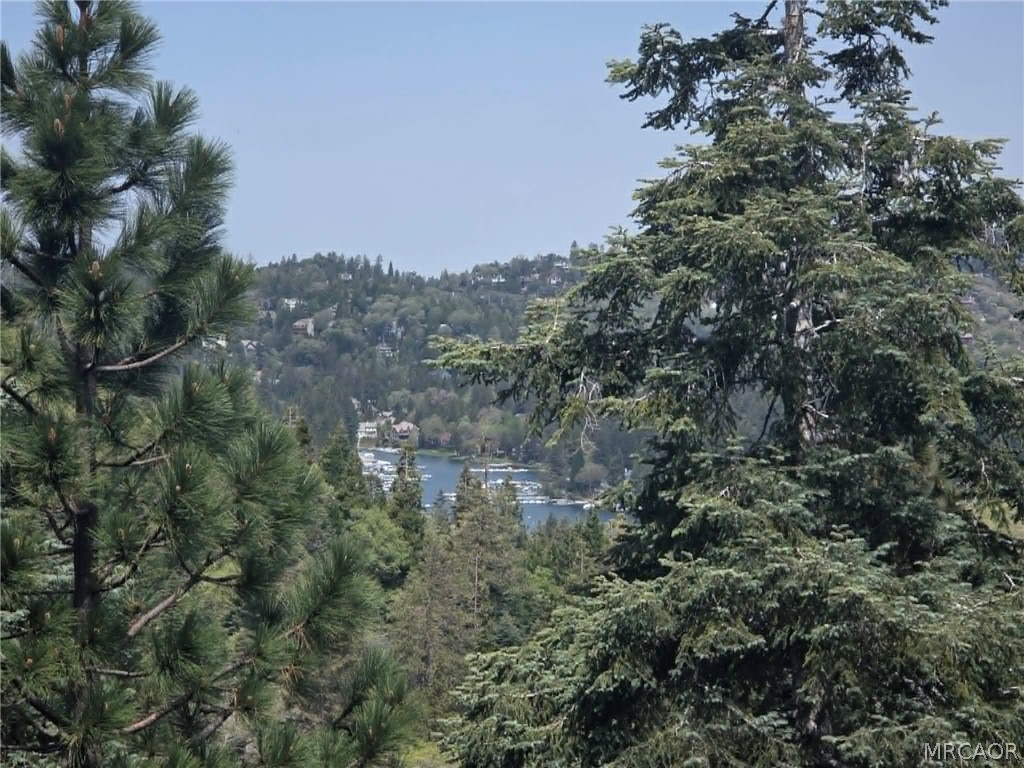 590 Arrowhead Villa Road Lake Arrowhead, CA 92352 - Photo 33 of 43