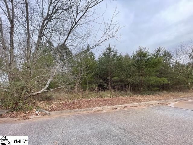 0 Riverbreeze Road Greenville, SC 29611 - Photo 2 of 5 Gallery Image 2