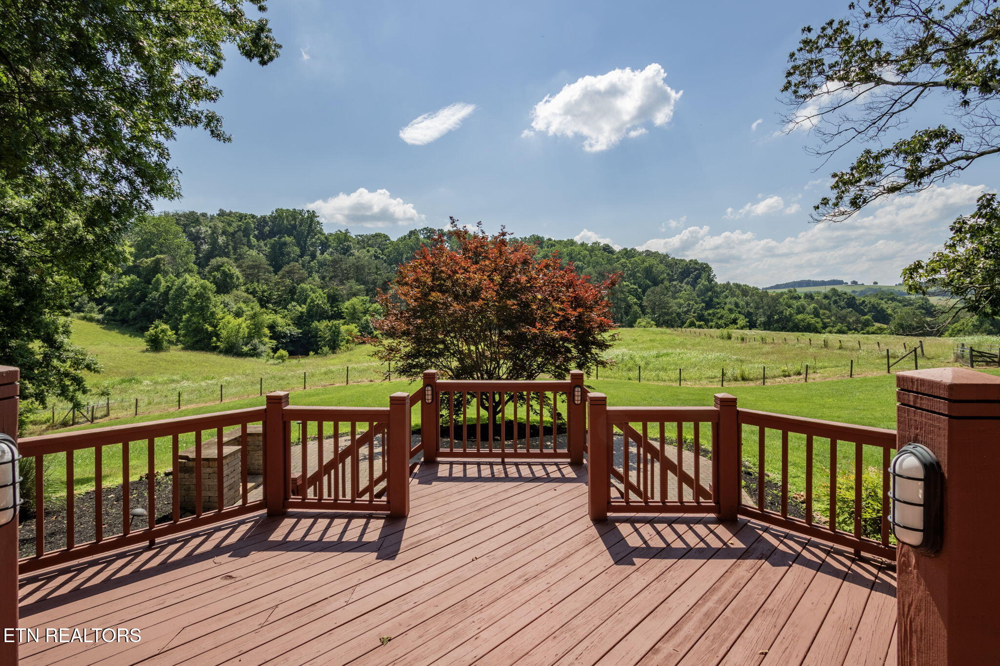 1435 Collins Road New Market, TN 37820 - Photo 5 of 58 IMG_3349-HDR