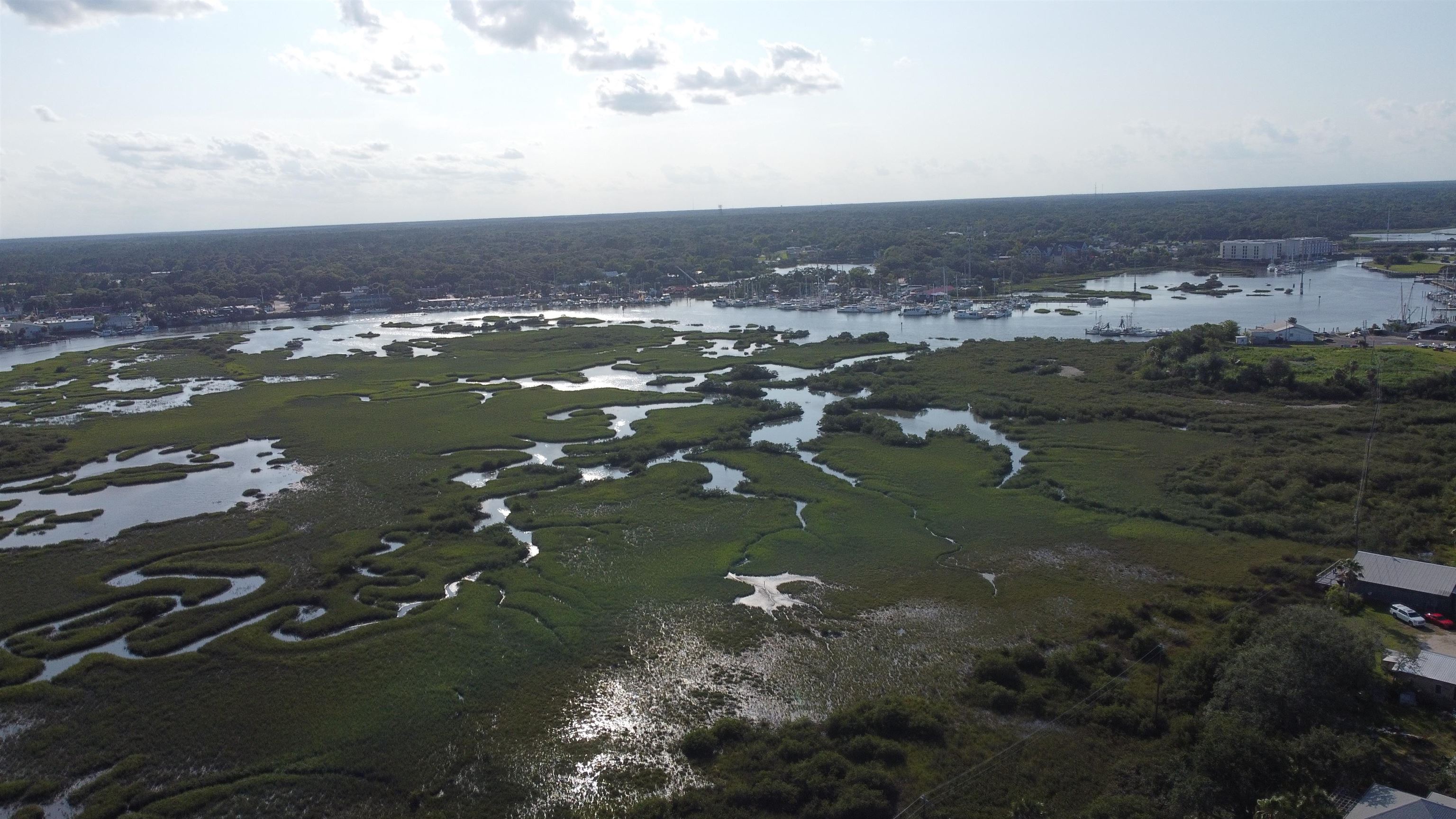 247 Riberia Street St. Augustine, FL 32084 - Photo 20 of 42 an aerial view of a houses with ocean view