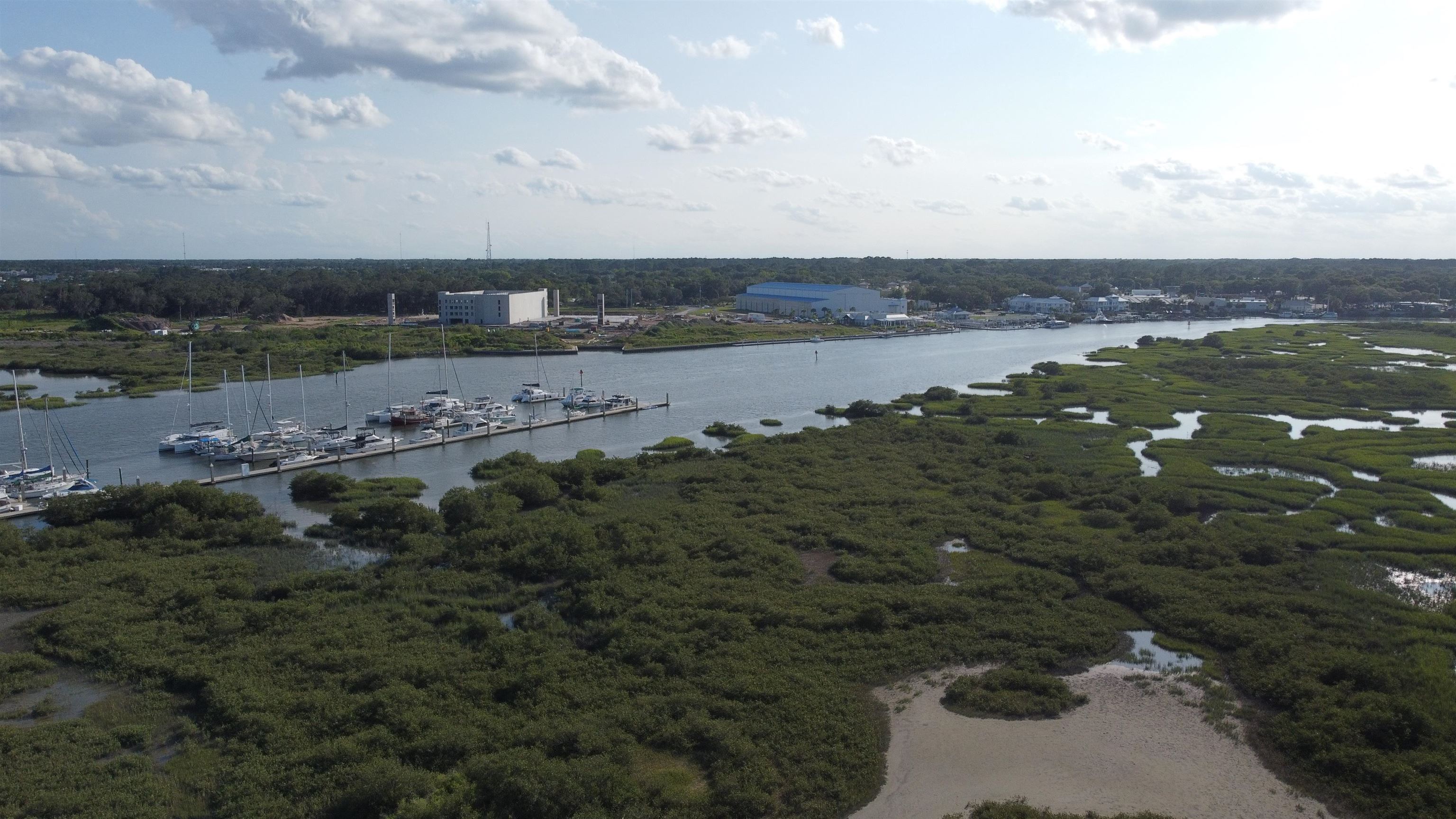 247 Riberia Street St. Augustine, FL 32084 - Photo 41 of 42 an aerial view of field with trees