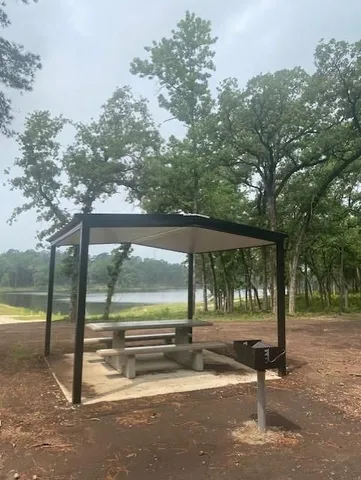 a view of a park with large tree