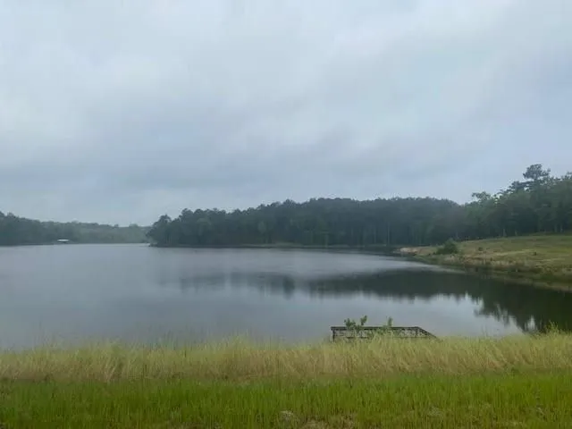 a view of lake with green space