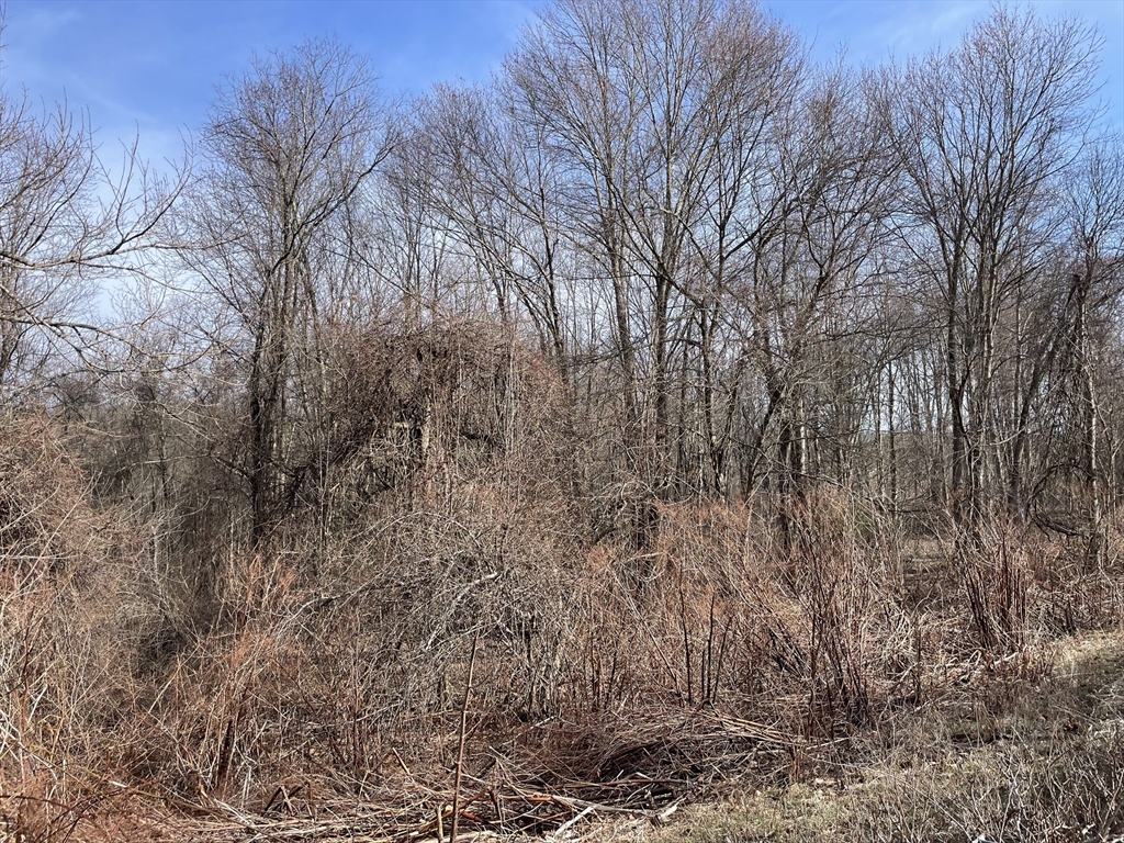50 Fiskdale Road Brookfield, MA 01506 - Photo 3 of 9