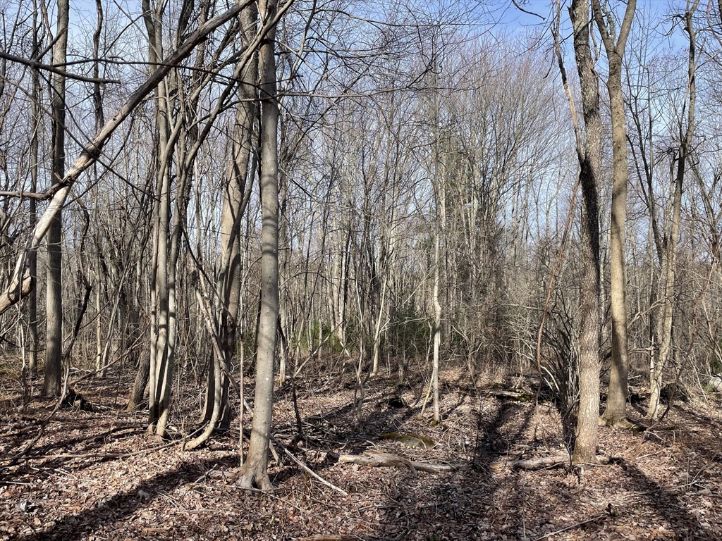 50 Fiskdale Road Brookfield, MA 01506 - Photo 8 of 9