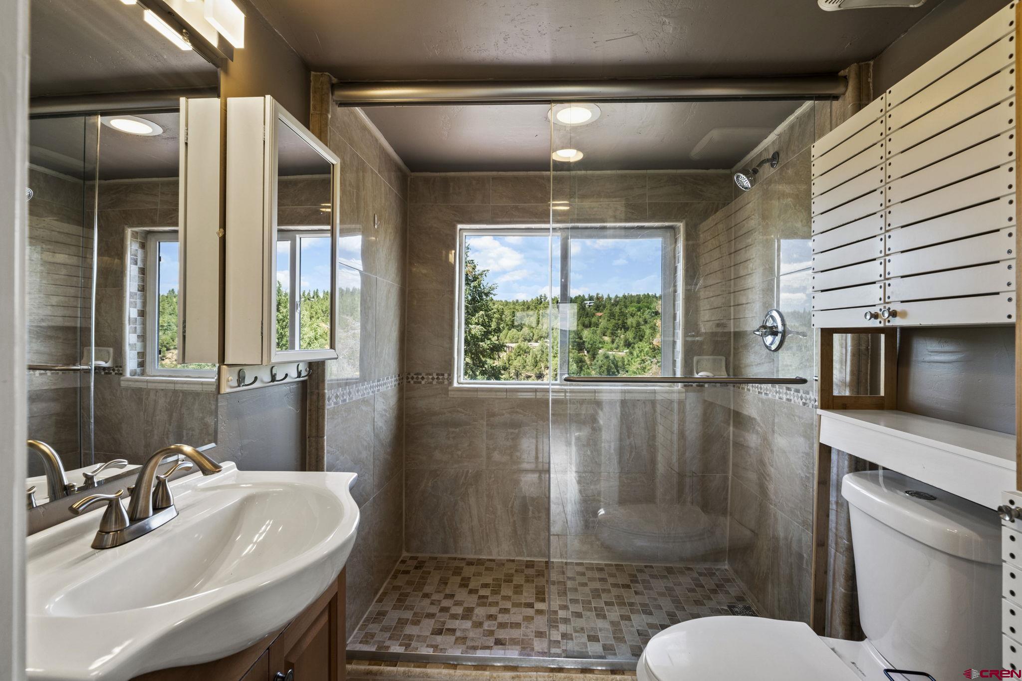 447 Mountain Top Road Durango, CO 81303 - Photo 11 of 33 a bathroom with a sink a toilet and shower