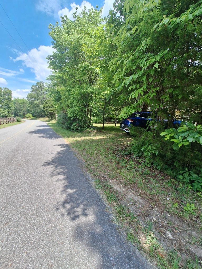 333 Lickskillet Road Epworth, GA 30541 - Photo 5 of 32 a view of a yard with plants and large trees