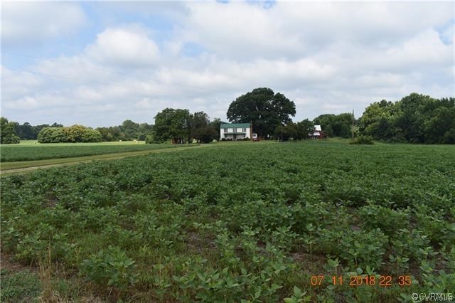 2075 Jonesboro Road Kenbridge, VA 23944 - Photo 3 of 27 a view of a field of grass and trees