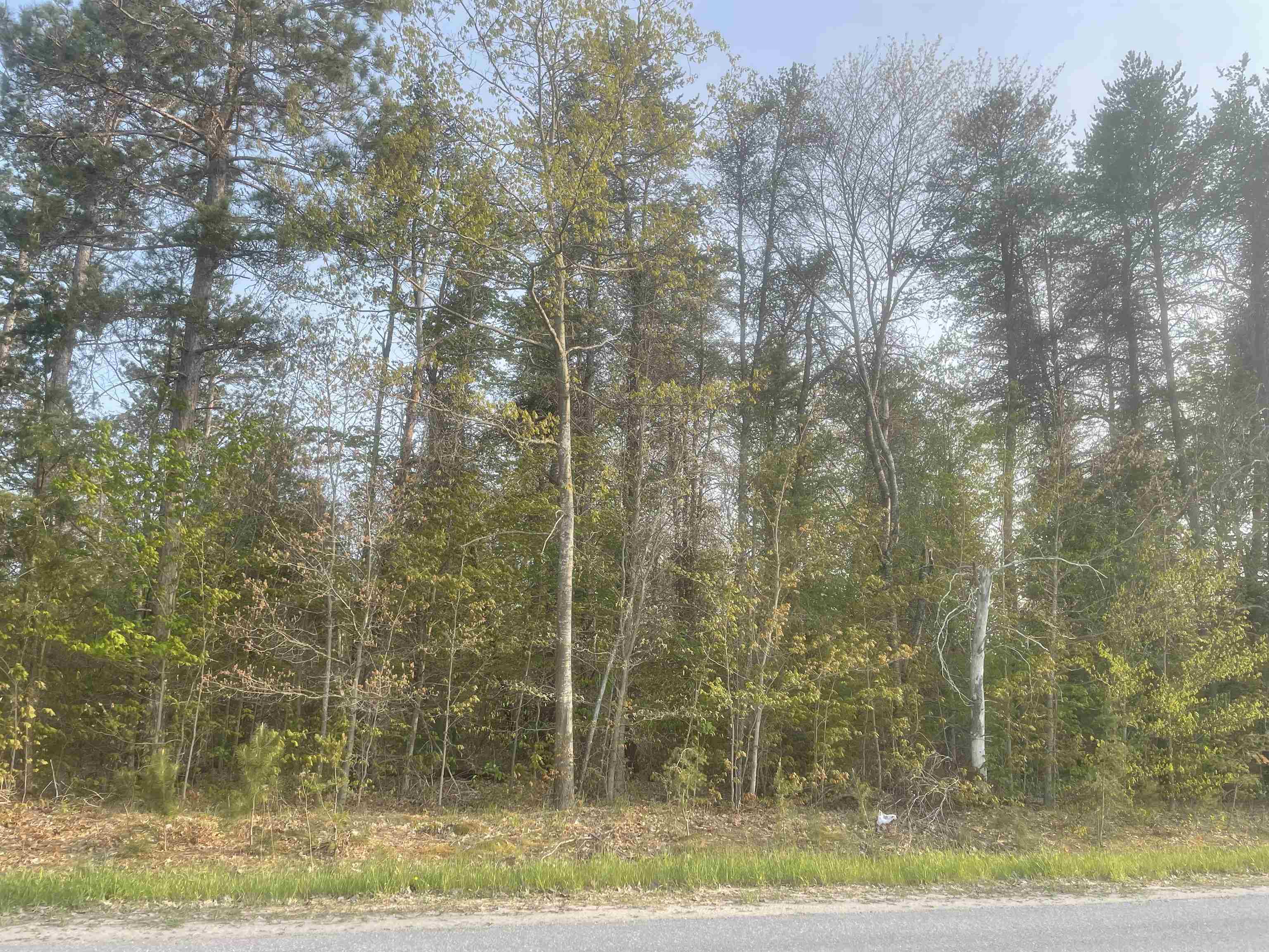 Lot G Lot G Riley, Unit LOT: G Interlochen, MI 49643 - Photo 7 of 10