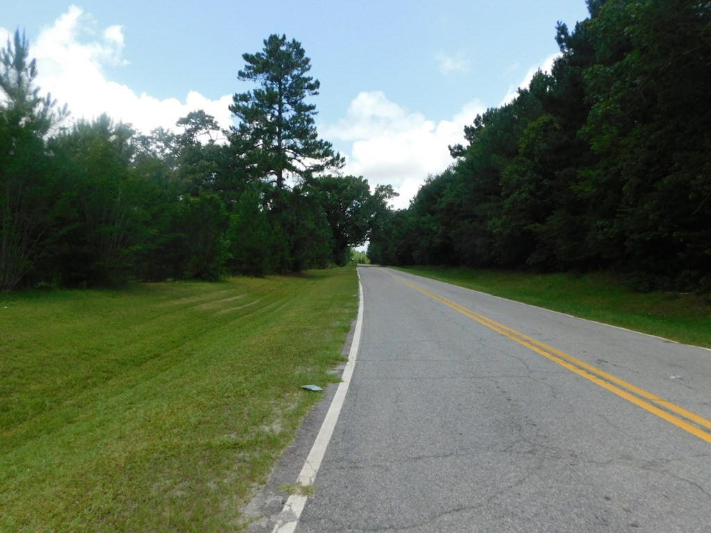 4225 Skull Shoals Road Washington, GA 30673 - Photo 14 of 46