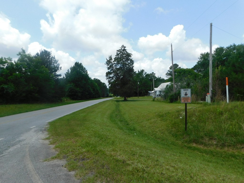 4225 Skull Shoals Road Washington, GA 30673 - Photo 15 of 46