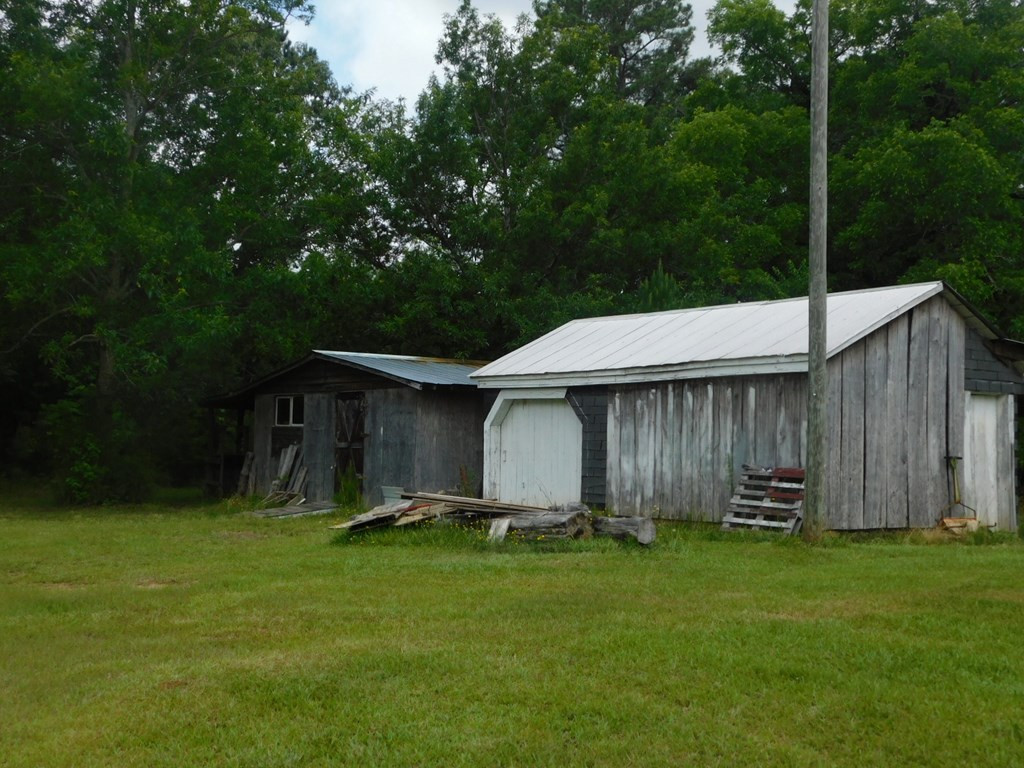 4225 Skull Shoals Road Washington, GA 30673 - Photo 2 of 46