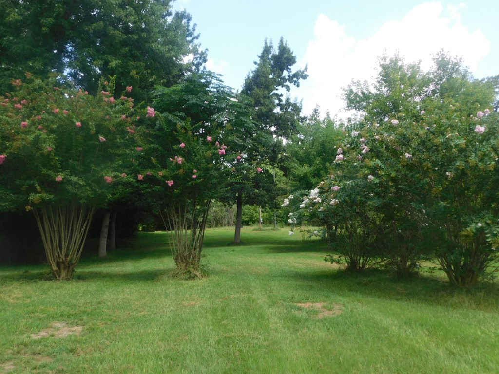 4225 Skull Shoals Road Washington, GA 30673 - Photo 21 of 46
