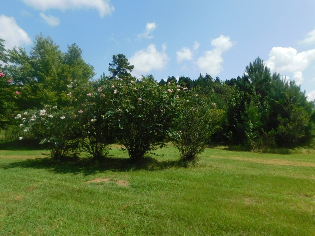4225 Skull Shoals Road Washington, GA 30673 - Photo 25 of 46