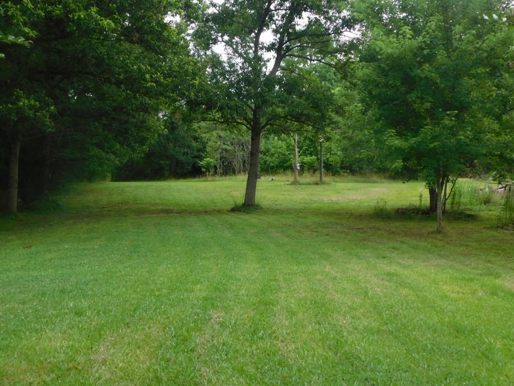 4225 Skull Shoals Road Washington, GA 30673 - Photo 3 of 46