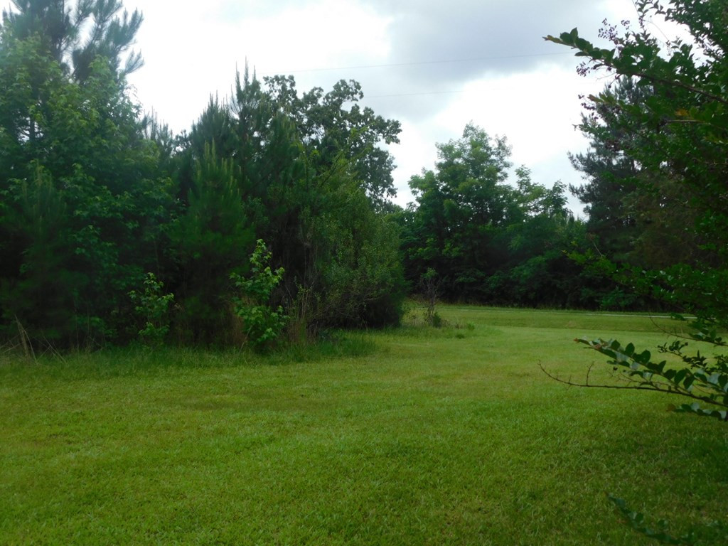 4225 Skull Shoals Road Washington, GA 30673 - Photo 4 of 46