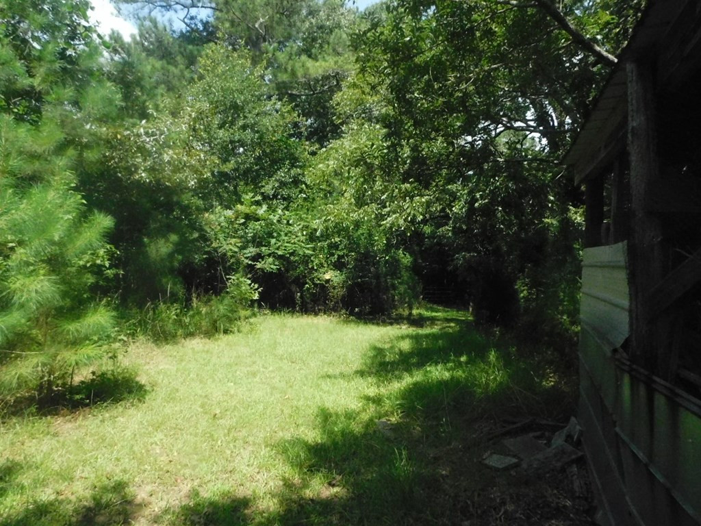 4225 Skull Shoals Road Washington, GA 30673 - Photo 46 of 46