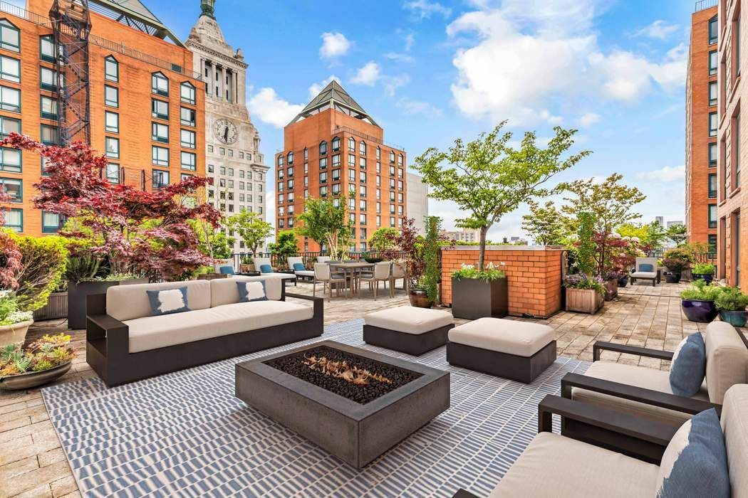 a view of a patio with couches and a potted plant on a table