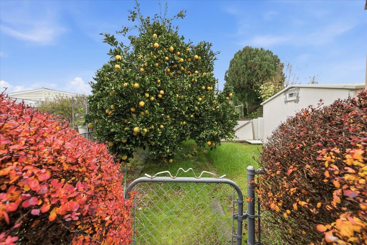 1155 Pease Road, Unit 224 Yuba City, CA 95991 - Photo 45 of 54