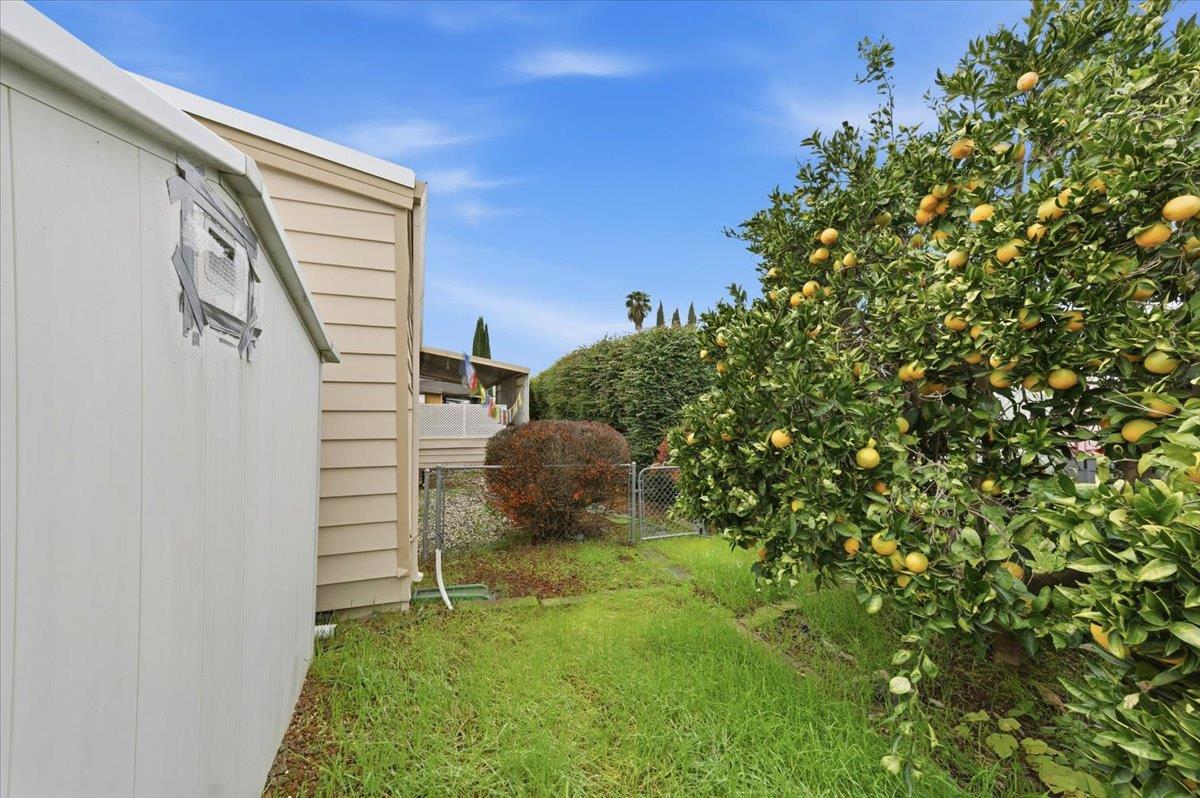 1155 Pease Road, Unit 224 Yuba City, CA 95991 - Photo 46 of 54