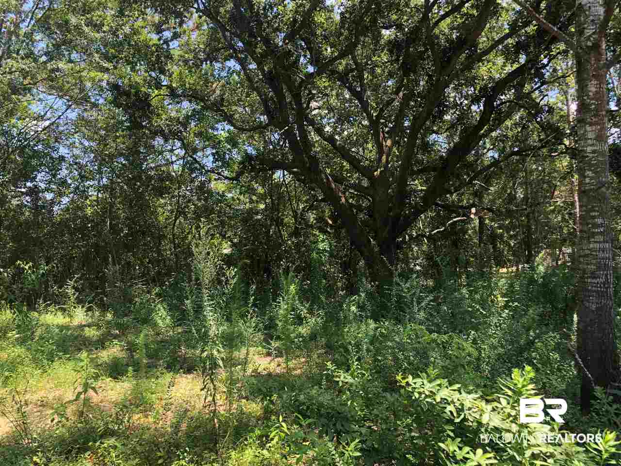 Lot 2 Woodland Avenue Foley, AL 36535 - Photo 9 of 26
