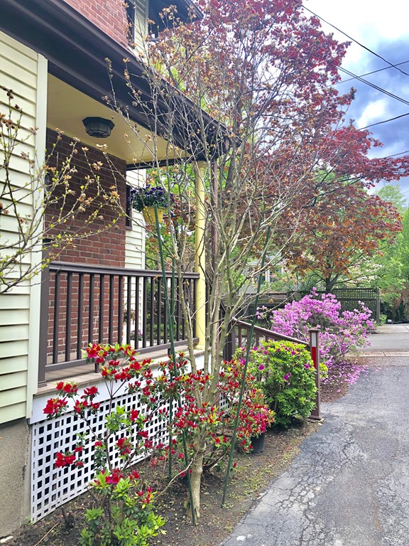 59-61 Brington Road Brookline, MA 02445 - Photo 3 of 19 a garden view with a seating space