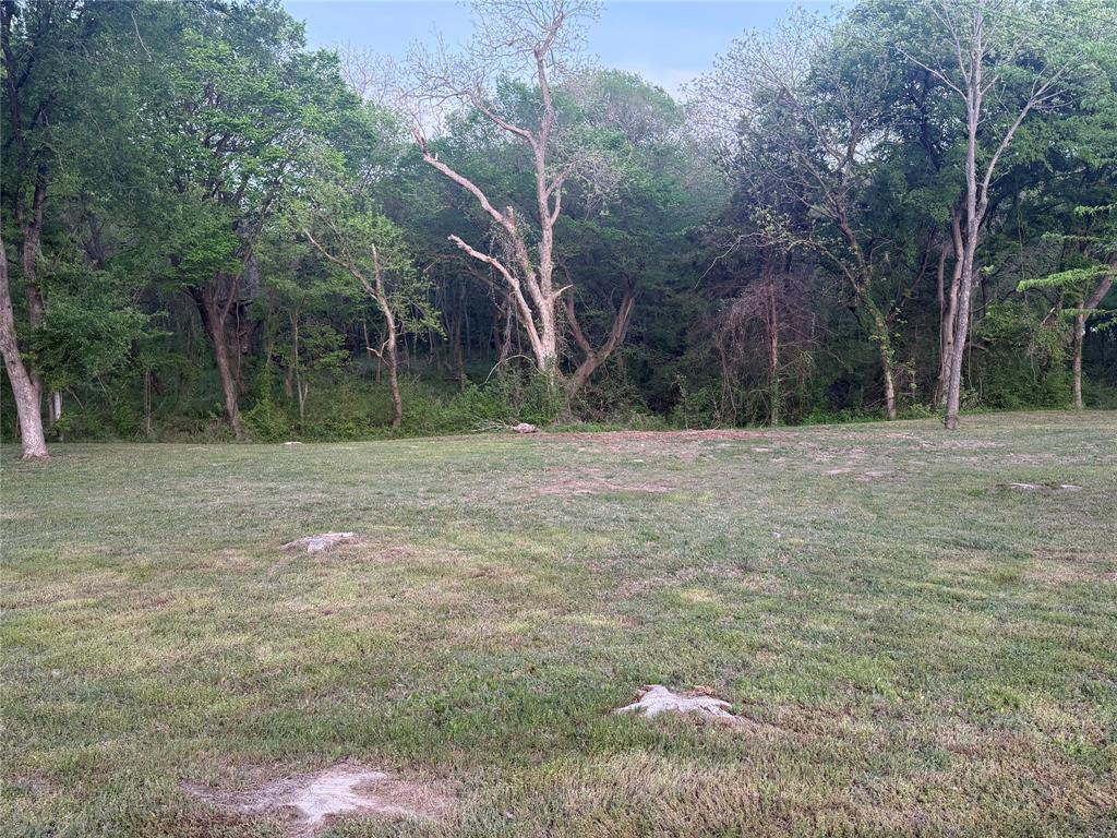 Tbd Waterworks Road Midlothian, TX 76065 - Photo 20 of 23 a backyard of a house with lots of green space