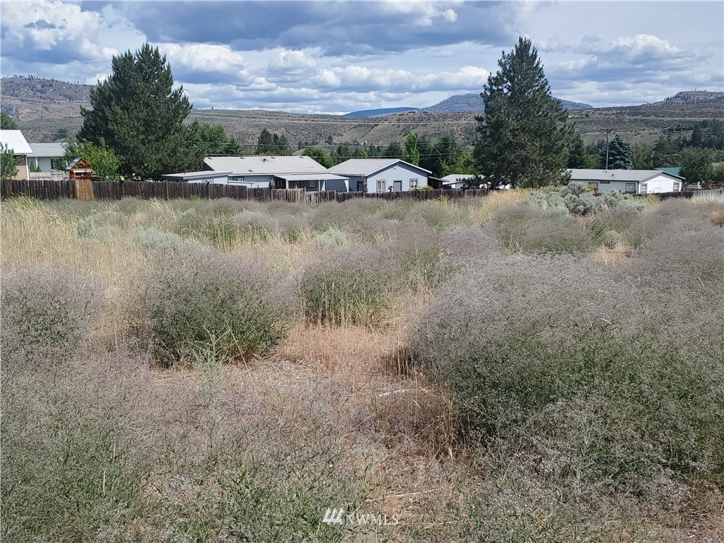 6 Crest Vue Road Omak, WA 98841 - Photo 3 of 7