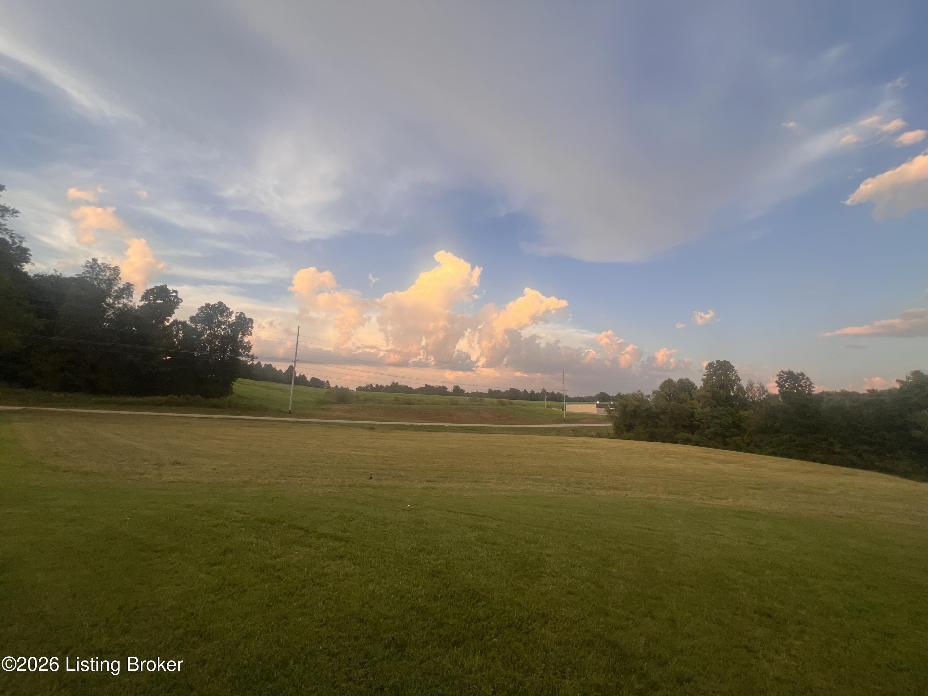 6335 Anneta Road Leitchfield, KY 42754 - Photo 6 of 14 IMG-9979