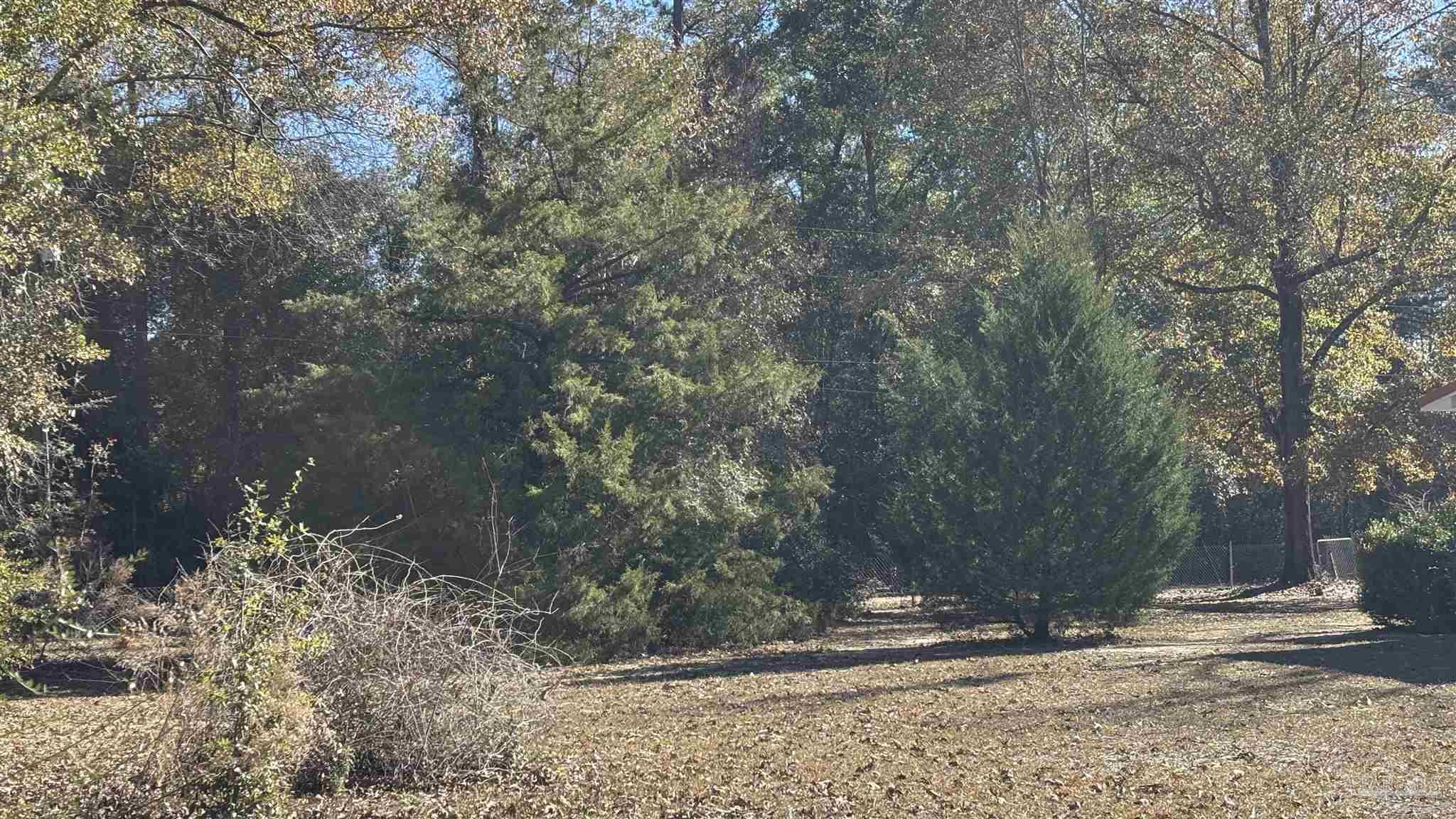 340 Cotton Creek Road McDavid, FL 32568 - Photo 19 of 24