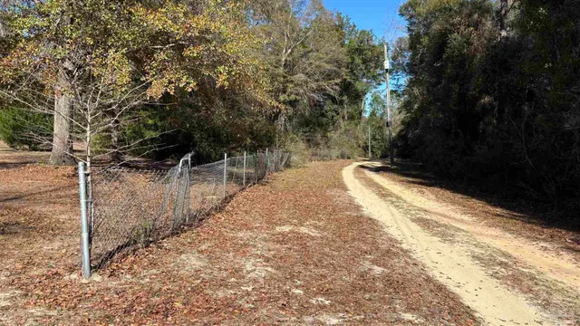 a view of outdoor space with trees