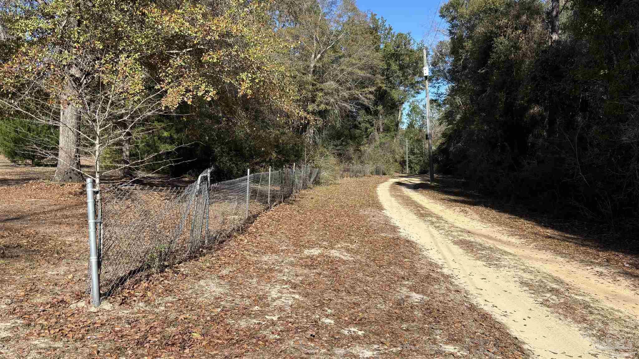 340 Cotton Creek Road McDavid, FL 32568 - Photo 3 of 24