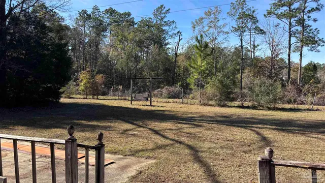 a view of a yard with plants and trees